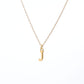 Collar Inicial