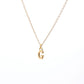 Collar Inicial