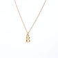 Collar Inicial