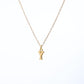 Collar Inicial