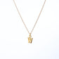 Collar Inicial