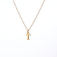 Collar Inicial