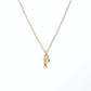 Collar Inicial
