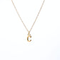 Collar Inicial