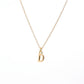 Collar Inicial